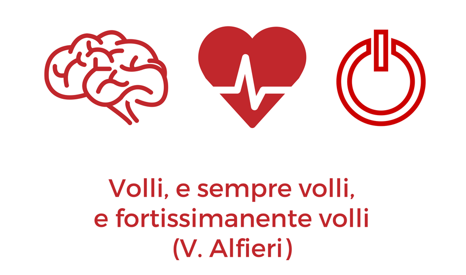 Volli e sempre volli e fortissimamente volli